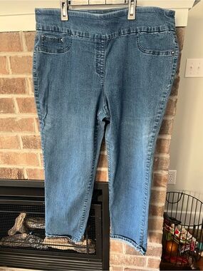 Ruby Rd. Stretch Cropped Jeggings - Medium Blue